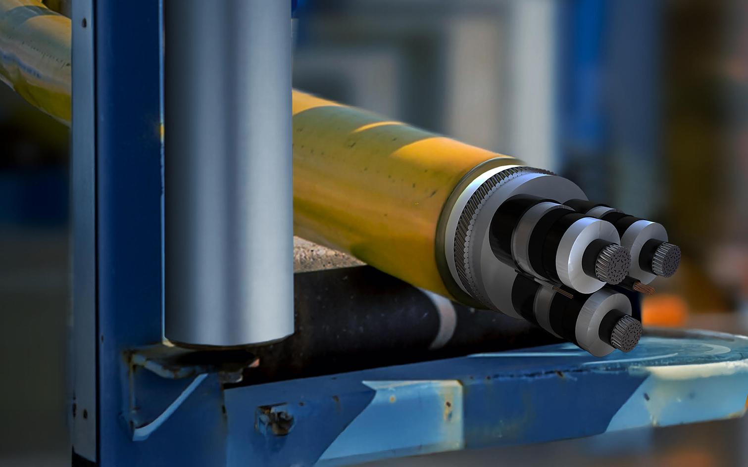 A close-up of a sectioned deep sea data cable