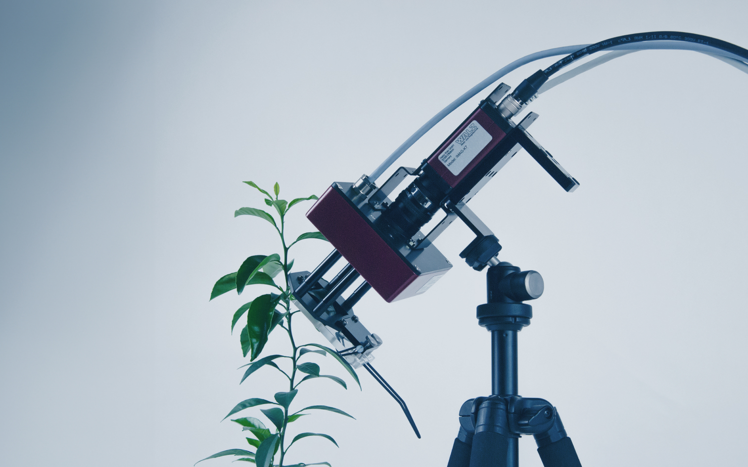 A sensor on a stand scanning the leaf of a plant